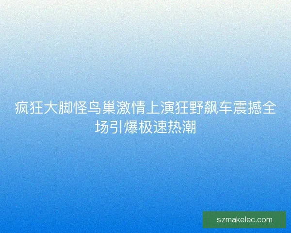 疯狂大脚怪鸟巢激情上演狂野飙车震撼全场引爆极速热潮